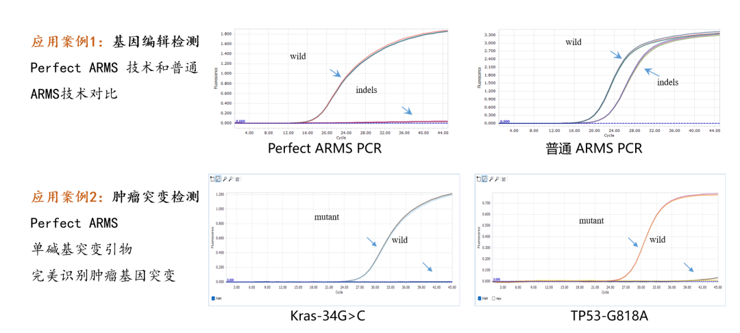 重磅！第三代ARMS PCR技术问世，助力PCR试剂盒高效开发！(图2)