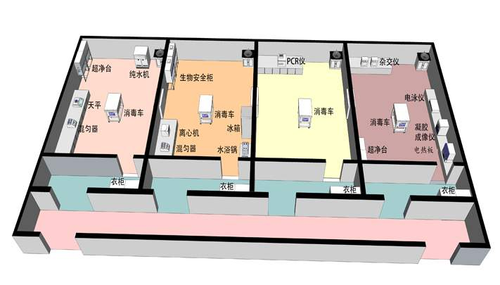 PCR实验室1.png