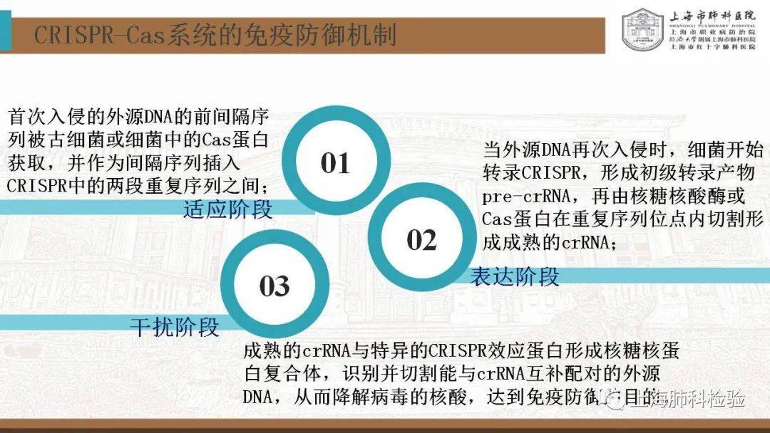 CRISPR/Cas系统在感染性疾病诊断中的应用(图9)