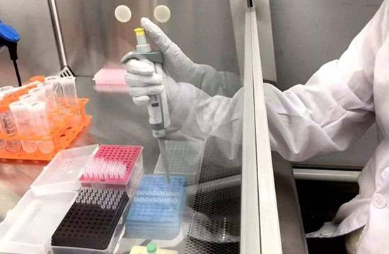 新型冠状病毒试剂盒不同检测方法分析