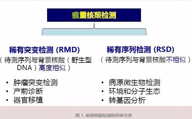 数字pcr2.png