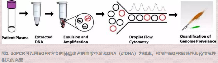 数字pcr4.png