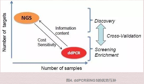 数字pcr5.png