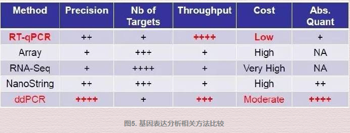 数字pcr6.png