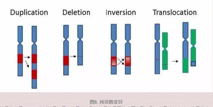 数字pcr7.png