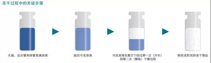 论PCR产品的原料基础，决定上层建筑！