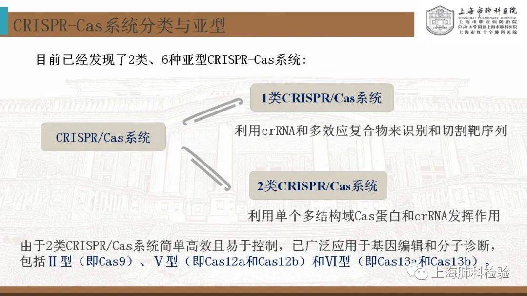 CRISPR/Cas系统在感染性疾病诊断中的应用(图17)