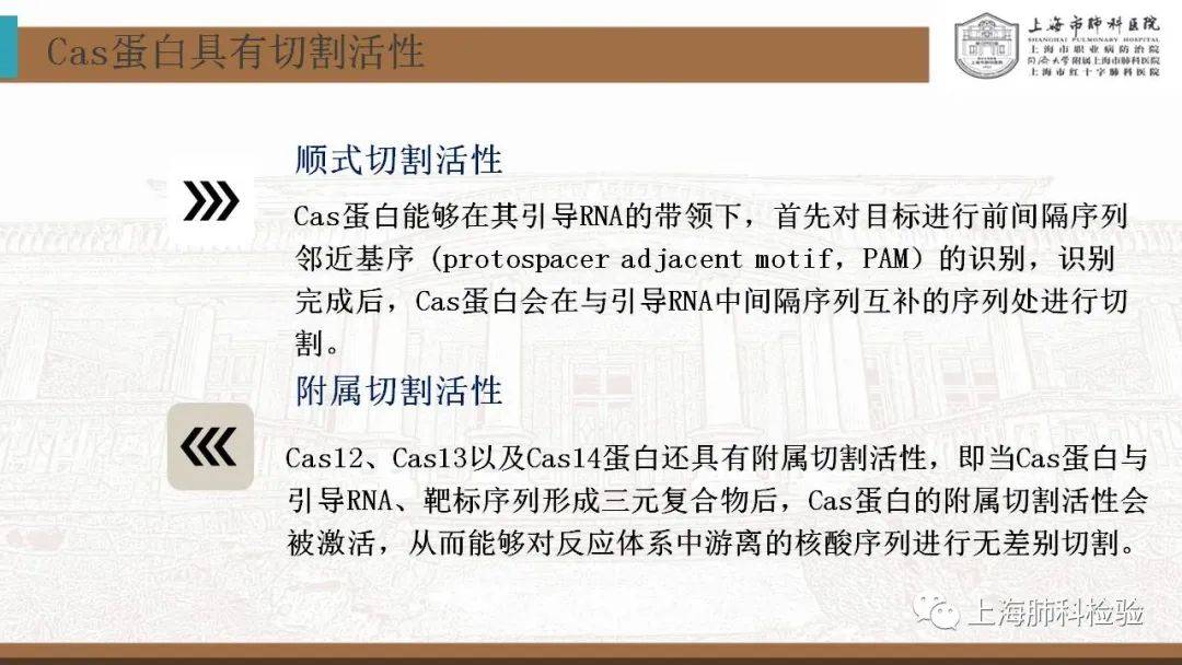 CRISPR/Cas系统在感染性疾病诊断中的应用(图15)