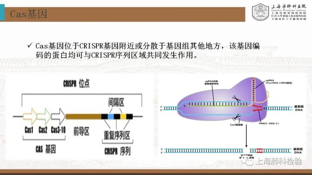 CRISPR/Cas系统在感染性疾病诊断中的应用(图14)