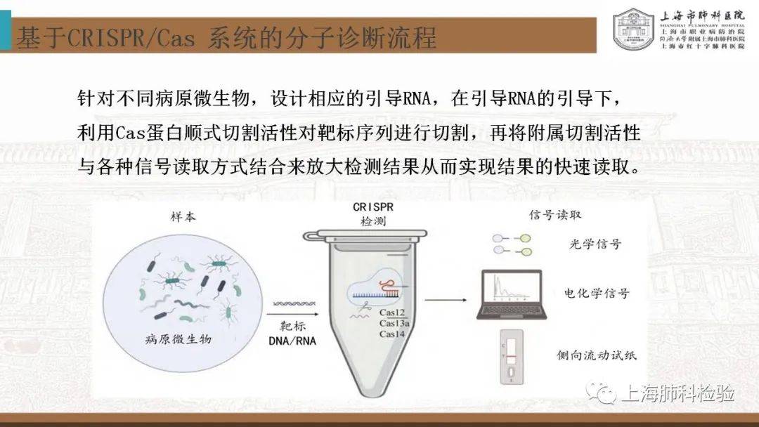CRISPR/Cas系统在感染性疾病诊断中的应用(图19)