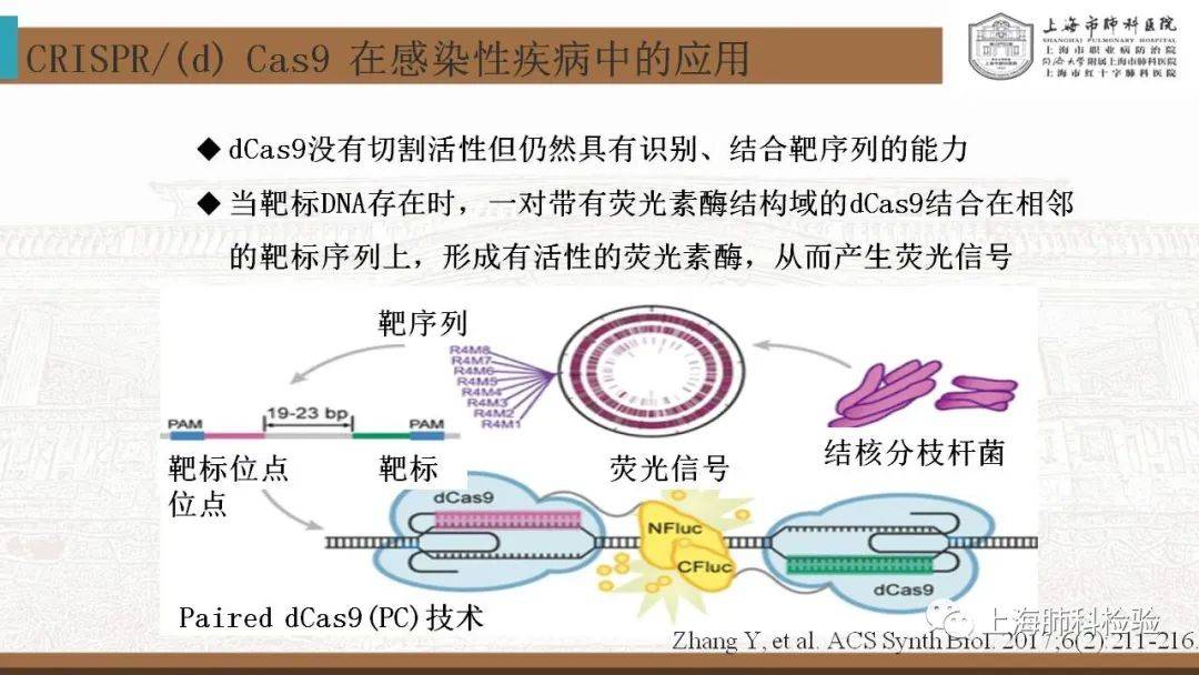 CRISPR/Cas系统在感染性疾病诊断中的应用(图26)