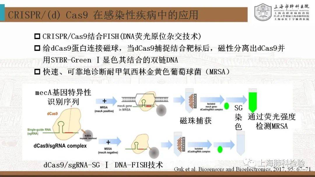 CRISPR/Cas系统在感染性疾病诊断中的应用(图27)