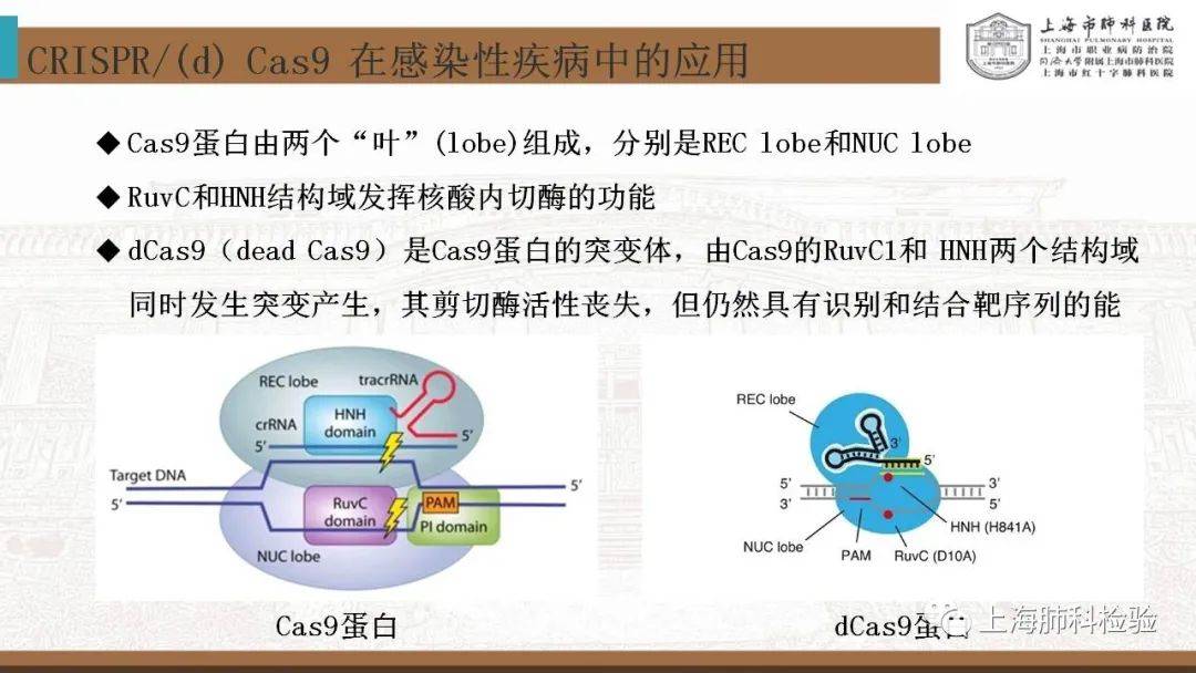 CRISPR/Cas系统在感染性疾病诊断中的应用(图22)