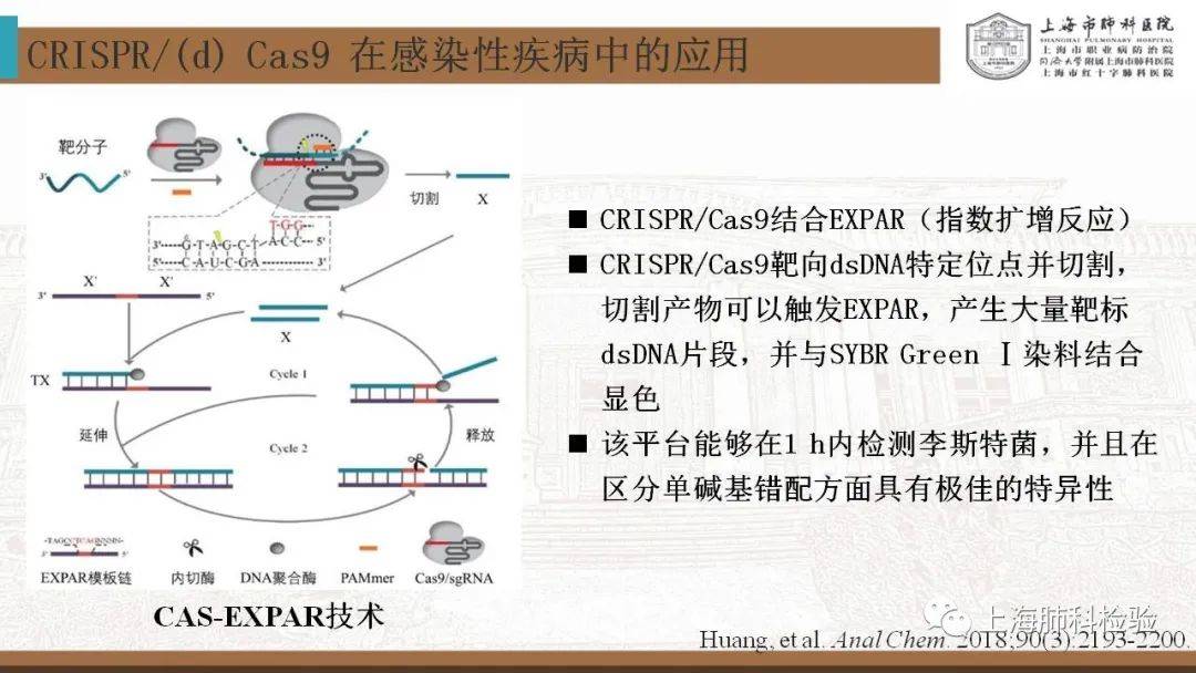 CRISPR/Cas系统在感染性疾病诊断中的应用(图24)
