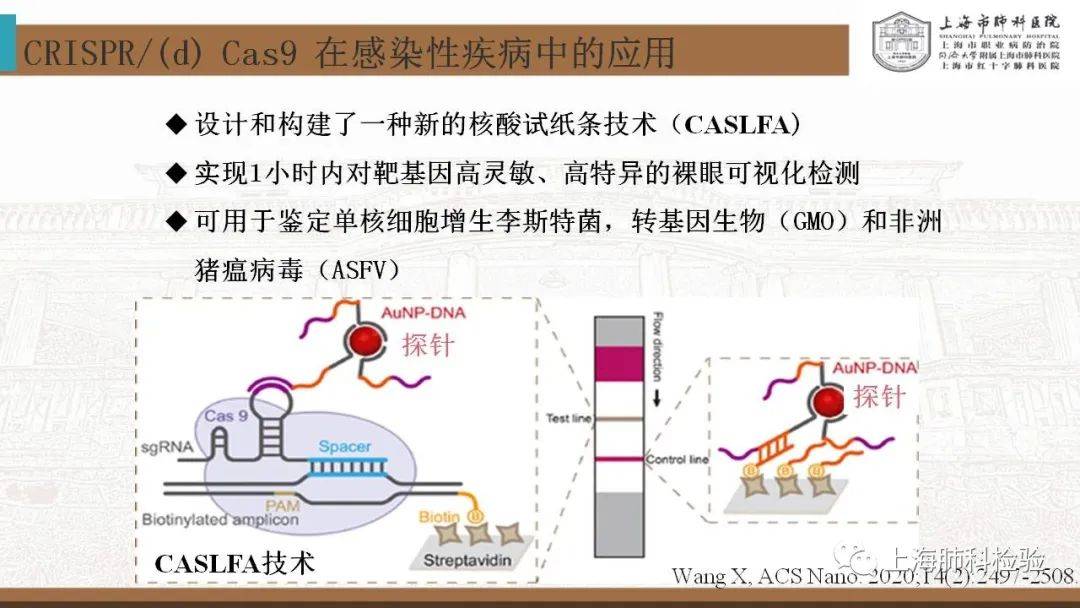 CRISPR/Cas系统在感染性疾病诊断中的应用(图25)