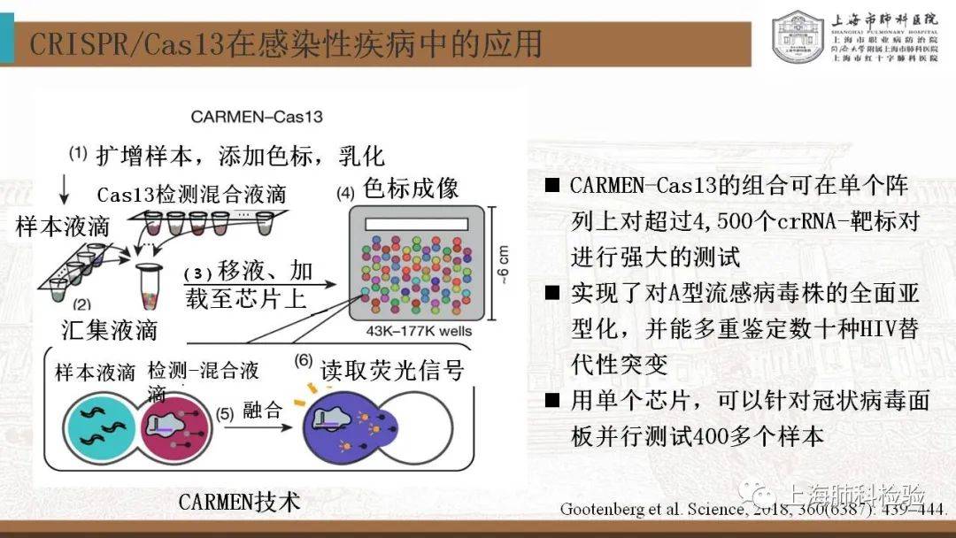 CRISPR/Cas系统在感染性疾病诊断中的应用(图39)