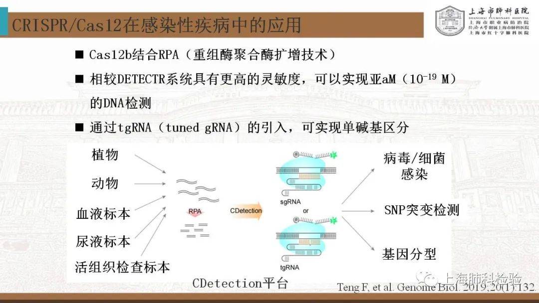 CRISPR/Cas系统在感染性疾病诊断中的应用(图33)