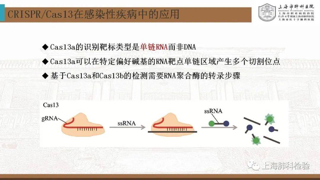CRISPR/Cas系统在感染性疾病诊断中的应用(图35)