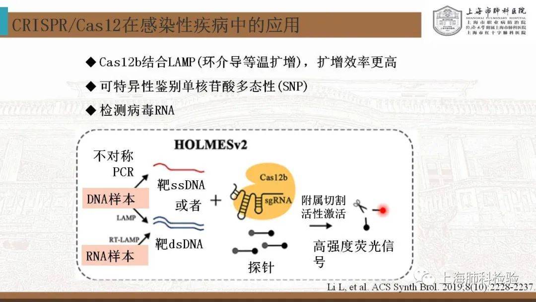 CRISPR/Cas系统在感染性疾病诊断中的应用(图31)