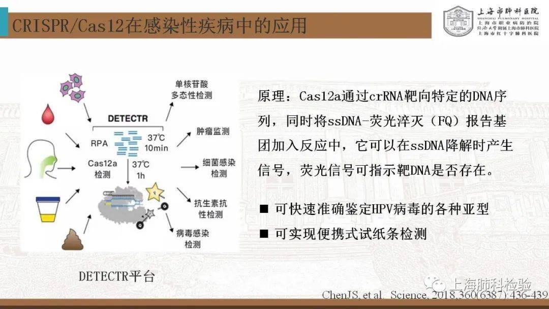 CRISPR/Cas系统在感染性疾病诊断中的应用(图32)