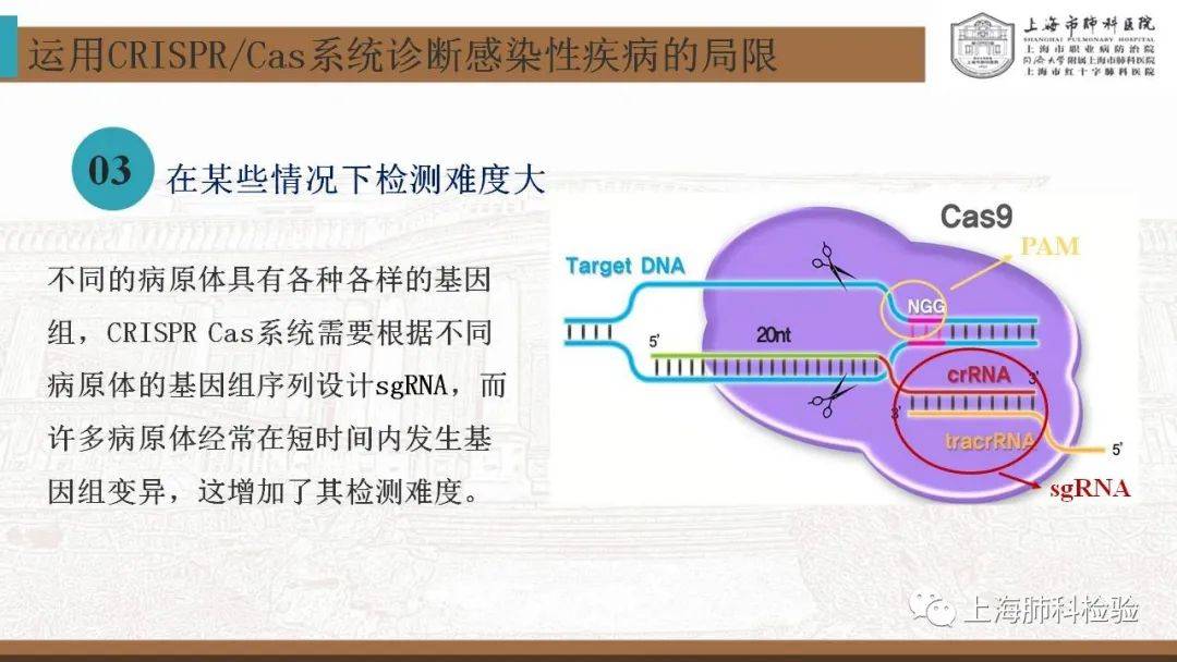 CRISPR/Cas系统在感染性疾病诊断中的应用(图47)