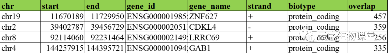 环状DNA的识别及甲基化水平